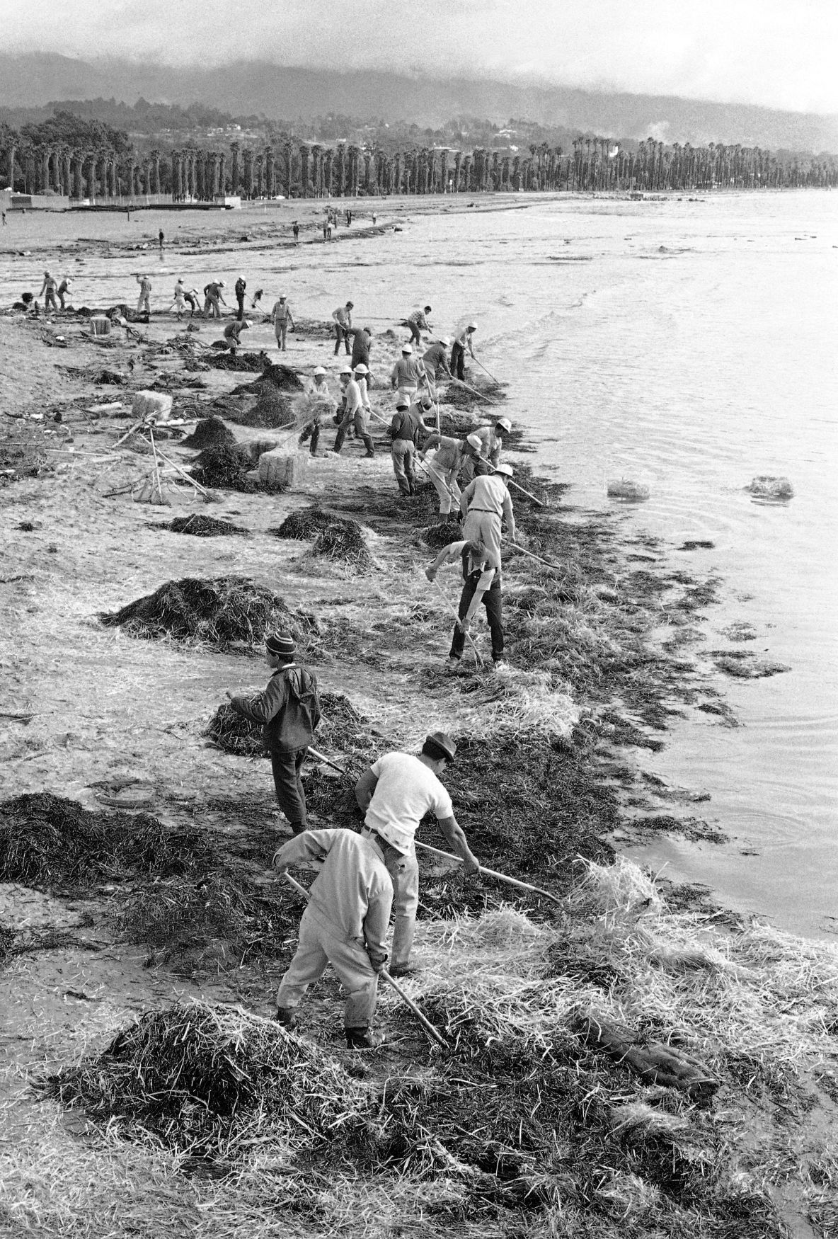 Water Pollution U.S. California 1969